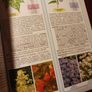The Bedding Plant Expert/ Dr. D. G. Hessayon Image 5