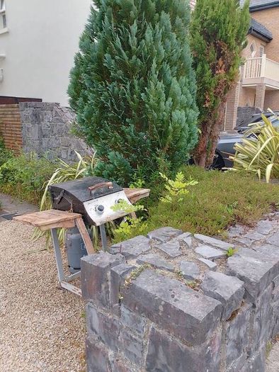 barbeque