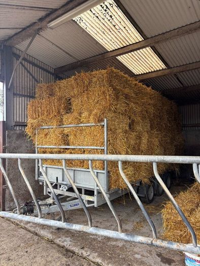 Small squares of oats and barley straw