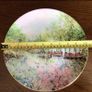 Royal Doulton Garden of Tranquility Decorative picture plate Image 2