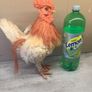 Straw Rooster / Hen. Kitchen ornament. Image 6