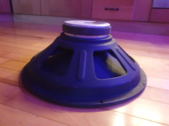 Two 15 inch speakers
