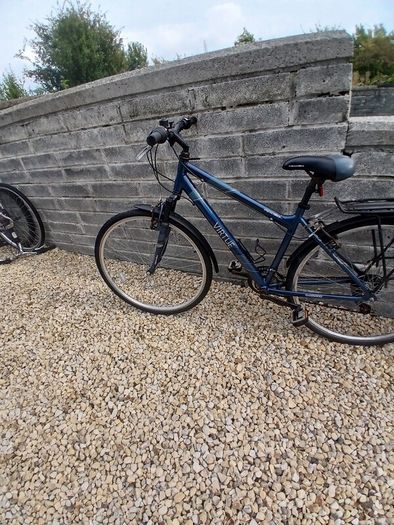 Adults Bike