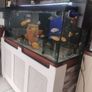 4ft aquarium 300 l just tank no stand and filter and heater Image 2