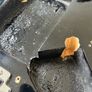 Stratocaster Guitar Body Image 6