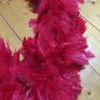 fur Image 3