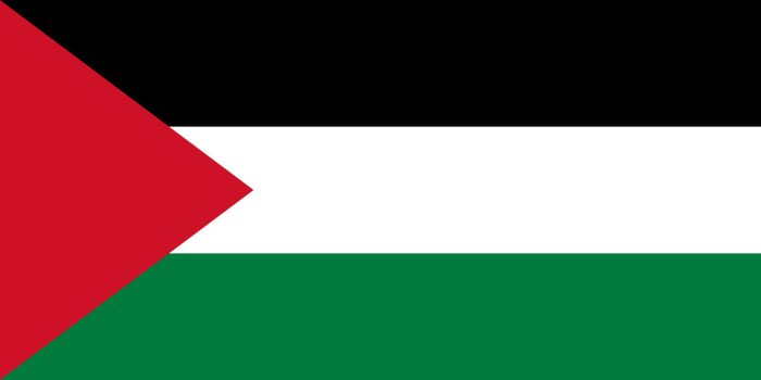 Large Palestine flag Free postage ROI