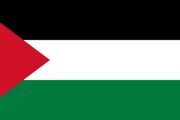 Large Palestine flag Free postage ROI