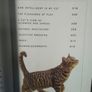 Giant Book of the Cat Image 7