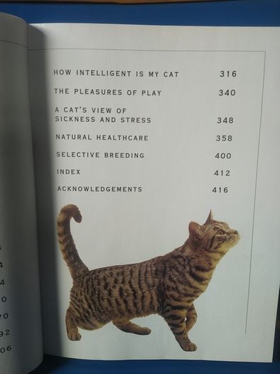 Giant Book of the Cat
