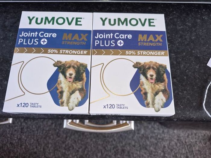dog yu-move