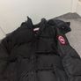 canada goose Image 3