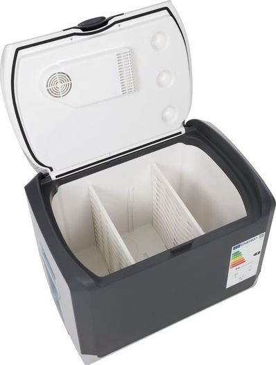 Electric cooler box