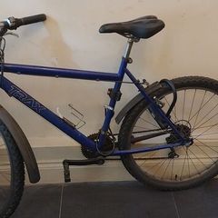 bikes