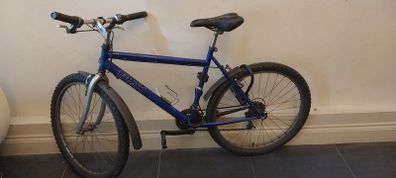 bikes