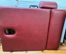 Free Beauty/massage therapy mobile bed