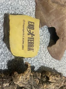 Reptile Equipment