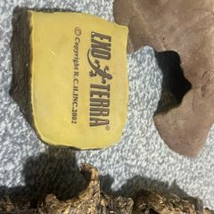 Reptile Equipment