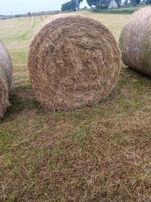 Round bales off hay for sale
