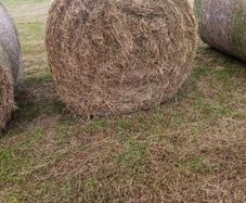 Round bales off hay for sale
