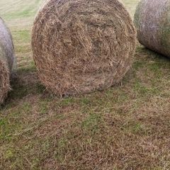 Round bales off hay for sale