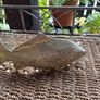 Fish Menu holder Image 2