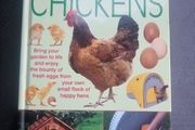 Keeping Pet Chickens: Bring your garden to life and enjoy the bounty of fresh... (Hardcover)