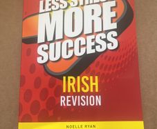 Less Stess More Sucess Irish
