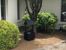 Grass Cutting & Garden Maintenance Image 9