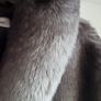 CALVIN KLEIN grey and black faux fur jacket - Sz M (Fit 10-14UK) - Bnwt Rrp 295 USD Image 4