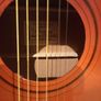 guitar - new hobby? Image 7