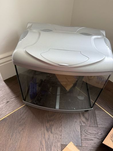 fish aquarium