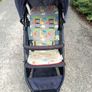 Buggy Image 2