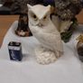Owl collection Image 10