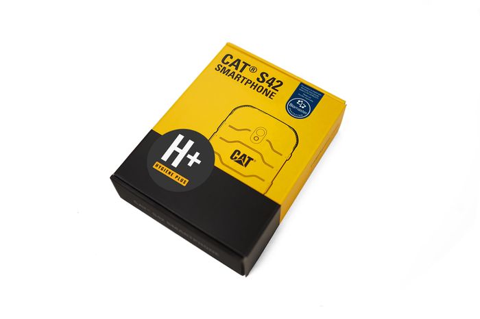 Cat S42 Hygiene+ Rugged