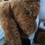 Horse plush Image 2