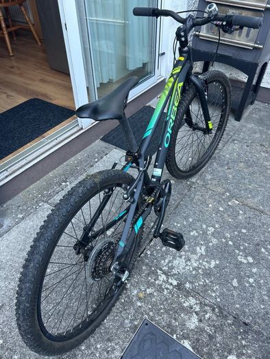 Orbea MX 24 DIRT 2019 black pistachio