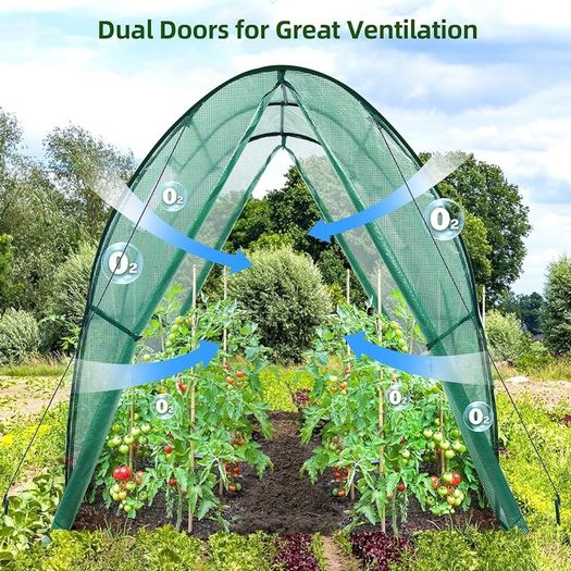 NEW SALE | Portable Tunnel Greenhouse Outdoor: Heavy Duty Walk in Green House with Mesh Windows Durable Plastic PE Cover for Outside, 1.8x1.8x2m, White
