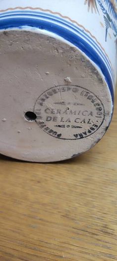 Cuban Oregano Plant with ceramic pot