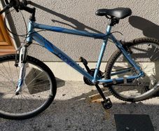 Ladies Aspire Apollo Mountain Bike