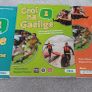 Junior Cert books Image 5