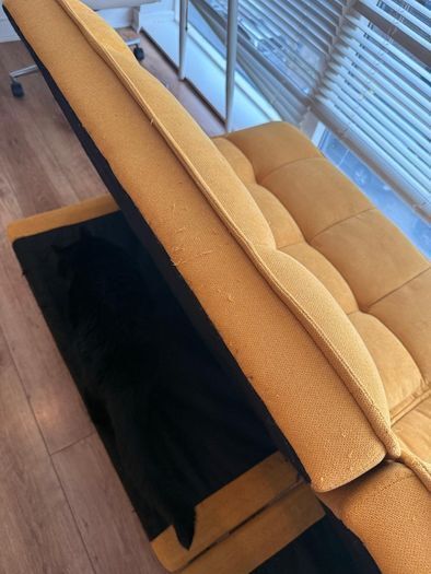 sofa bed