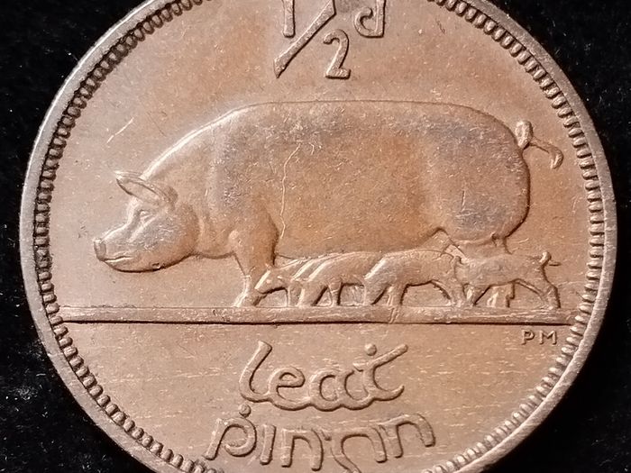 Ireland - 1935 - Half Penny - EF - KM.2 - [888]