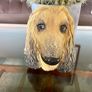 Vintage 20th Century Afghan Hound Chalkware Bust Legend Products Image 10