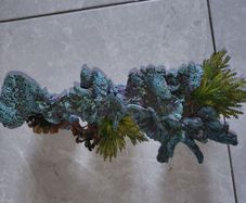 aquarium decoration