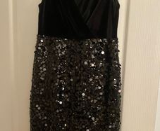 Coast velvet and sequin  dress