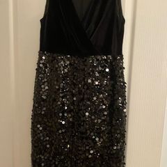 Coast velvet and sequin  dress