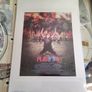 Platoon Ultimate Special Edition Dvd Boxset Image 3