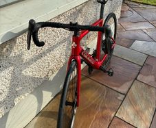 Colnago  2025