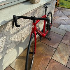 Colnago  2025